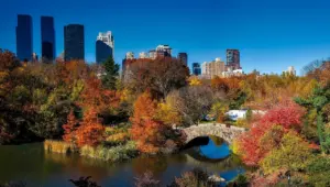 best places to propose in central park