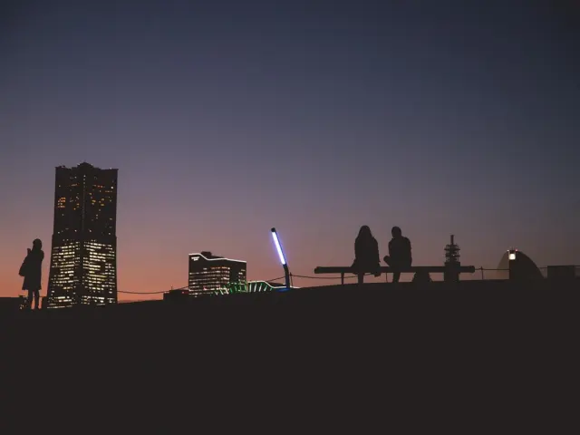 Rooftop Proposal in New York