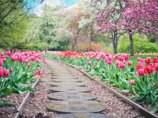 New York City Events in Spring