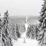 New York City Events in Winter