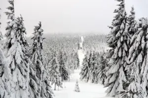 new york city events in winter